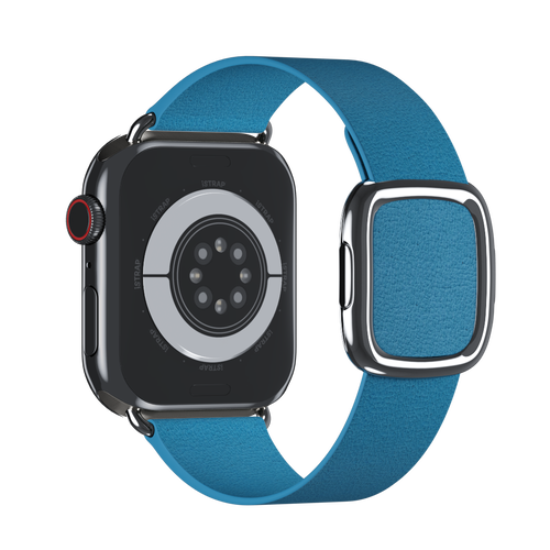 Blue Jay Modern Buckle for Apple Watch